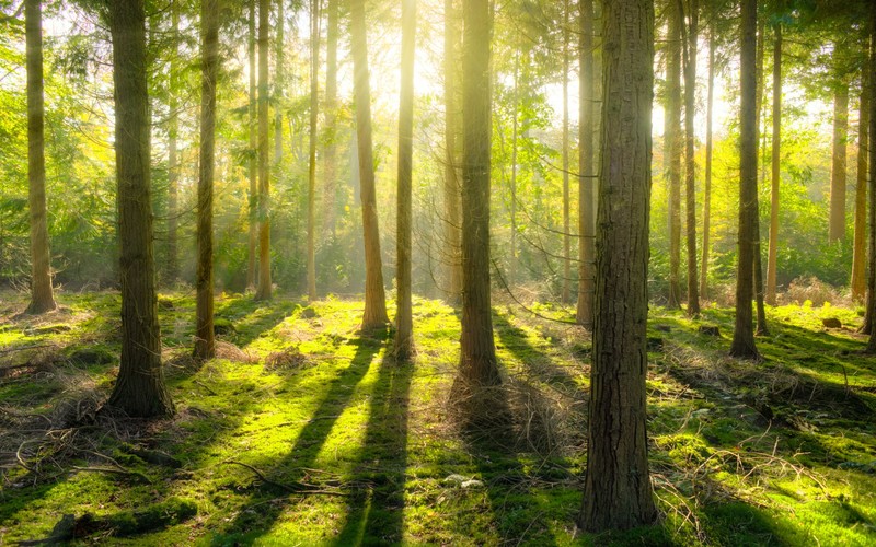 Vlamingen zetten Ardennenoffensief in