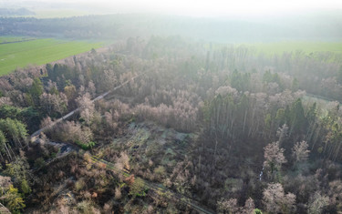 bos-te-koop-in-brecht