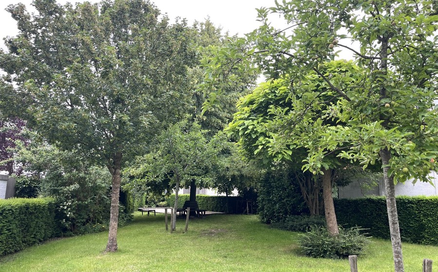 Huis te koop in Antwerpen