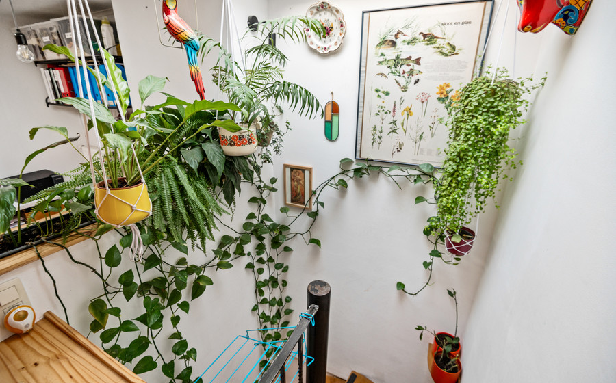 Huis te koop in Merksem